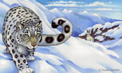 detwilerbclk_snowleopard